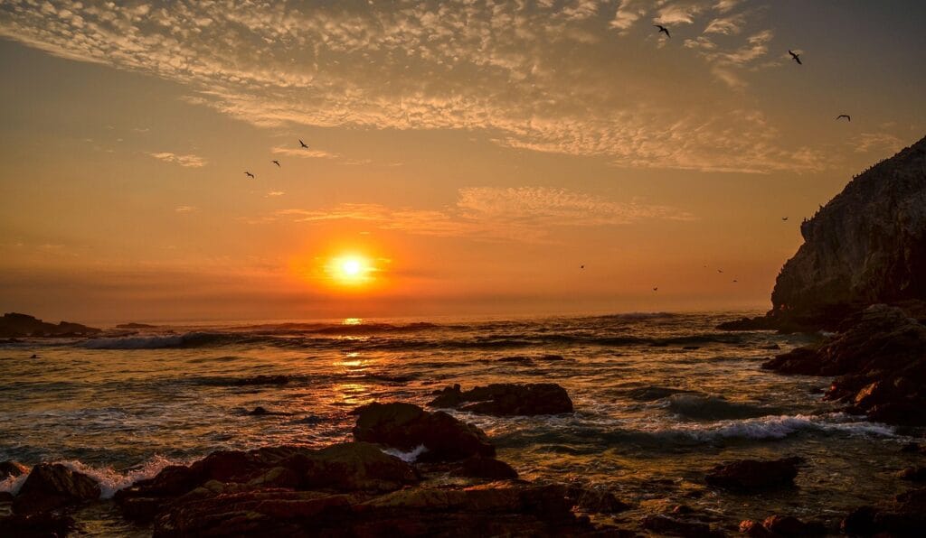 puesta, sol, algarrobo, peace, brown peace, sol, sol, sol, sol, sol