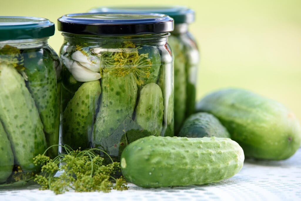 pickled cucumbers, homemade preserves, jars, food, natural food, eco, homemade, healthy eating, healthy food, vitamins, a healthy diet, natural, fresh, vegetables, ground cucumbers, pickles, a vegetable, dill, nutrition, pickles, pickles, pickles, pickles, pickles